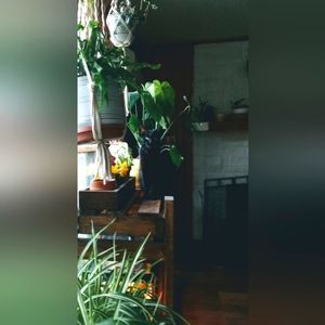 30% off when you buy 2 or more items